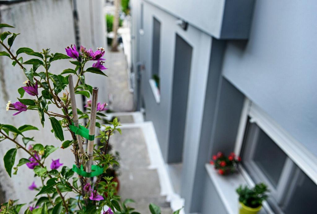 Melissa Rooms Agios Kirykos  Exterior photo
